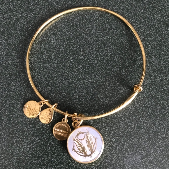 Alex and Ani Expandable Wire Bracelet - Picture 9 of 13